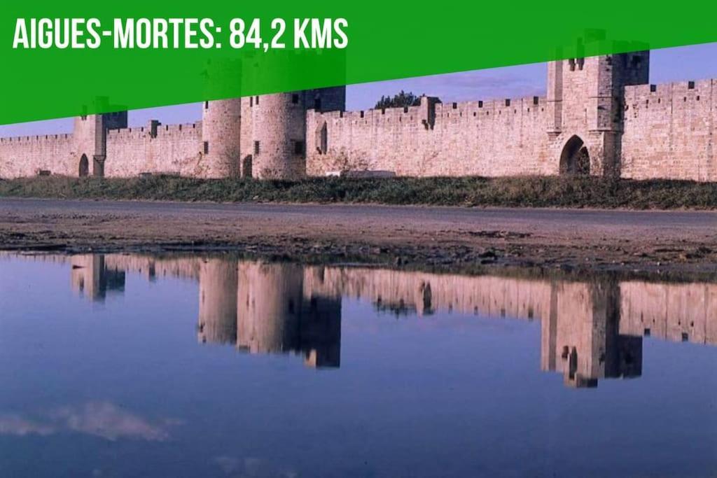 La Cachette De L'Horloge - Ac Clim - Wifi - 100M Palais Des Papes Daire Avinyon Dış mekan fotoğraf